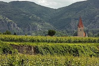 Weissenkirchen Ried Hinter der Burg Wachau